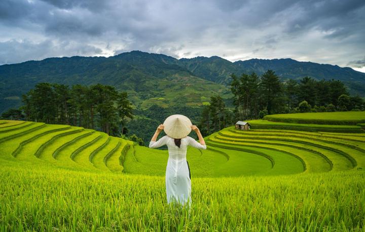 Từ 2 kiểu áo hot nhất hè này: đến chiến lược content: Hotspot Matrix chia sẻ