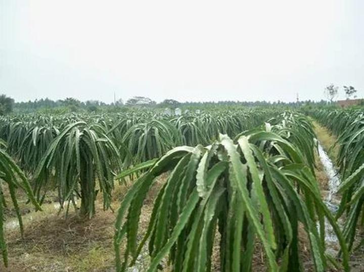 Từ Khuyết Tật Đến Triệu View: Câu Chuyện Cảm Hứng Của Tuấn Anh